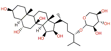 Distolasteroside D6